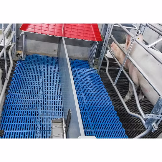 Plancher en plastique de lattes de porc de vente directe d'usine