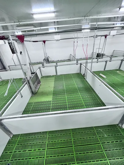 Conseil d'excréments en plastique/plancher à lattes pour porcs/chèvres/bovins