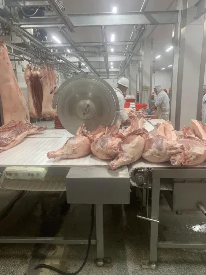 Abattoir de bovins, vache, taureau, mouton, porc, équipement d'abattage, machines agricoles, traitement de la viande de taureau avec le froid